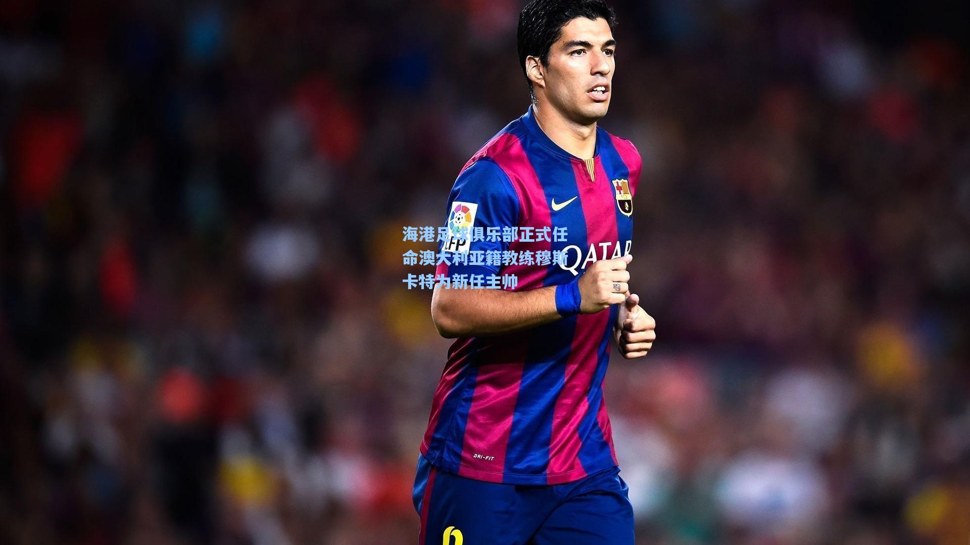 海港足球俱乐部正式任命澳大利亚籍教练穆斯卡特为新任主帅